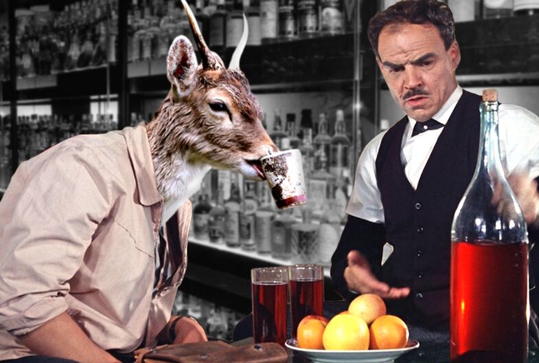 alcohol drinking norm